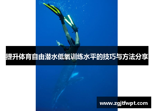 提升体育自由潜水低氧训练水平的技巧与方法分享