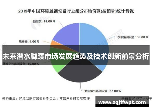 未来潜水脚蹼市场发展趋势及技术创新前景分析