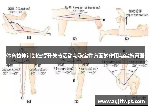 体育拉伸计划在提升关节活动与稳定性方面的作用与实施策略