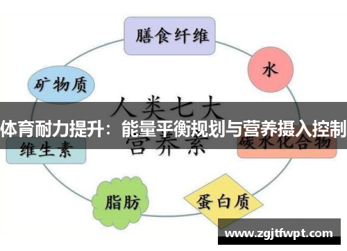 体育耐力提升：能量平衡规划与营养摄入控制
